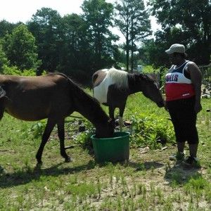 Meet your Posher, Debra